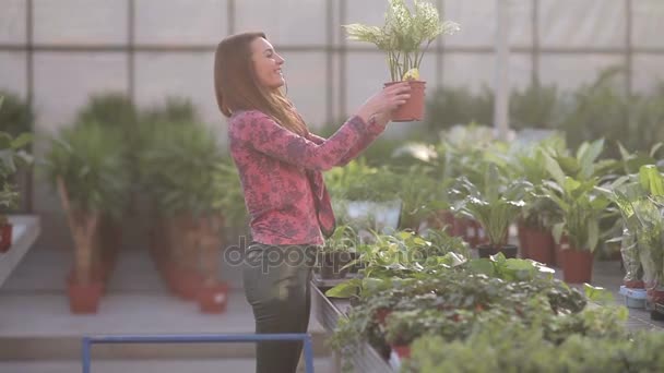 Girl choosing flowers — Stock Video