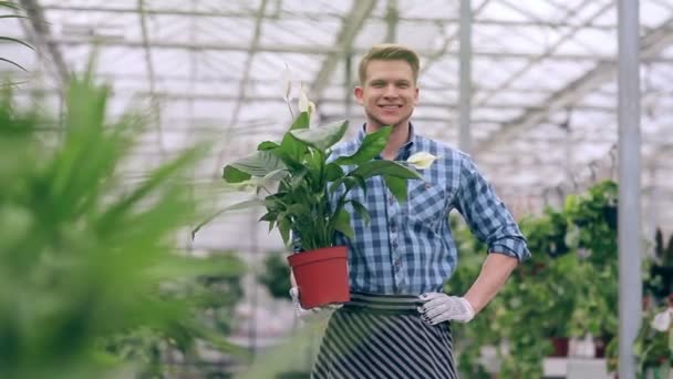 Красивый флорист держит спатифиллум — стоковое видео