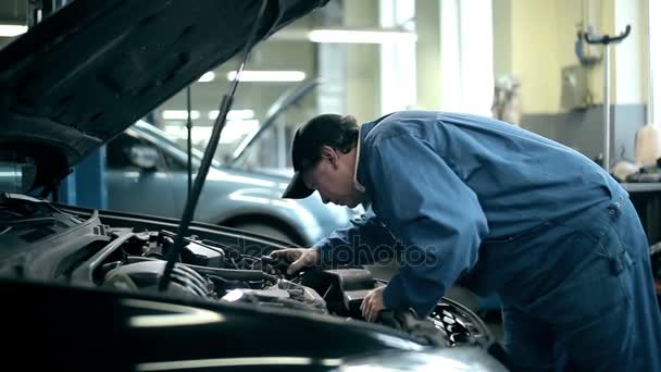 Mechanic inspecting the car engine — Stock Video