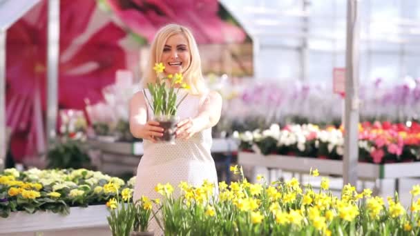 Ładna kobieta z kwiatów w doniczce — Wideo stockowe