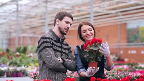 Customer buying flowers in orangery — Stock Video