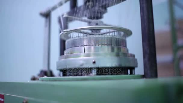 Filaments fixés à des bancs circulaires . — Video