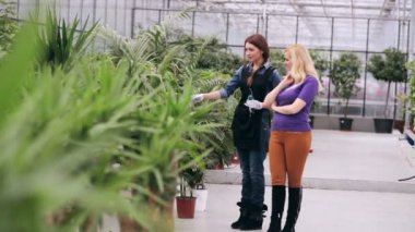 Bahçıvan istemci tavsiye eder. 