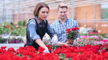 Çiçekçi onların memnun
