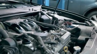 erkek sabitleme sorunu