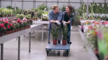 Çalışmaları sırasında konuşurken çiçekçi
