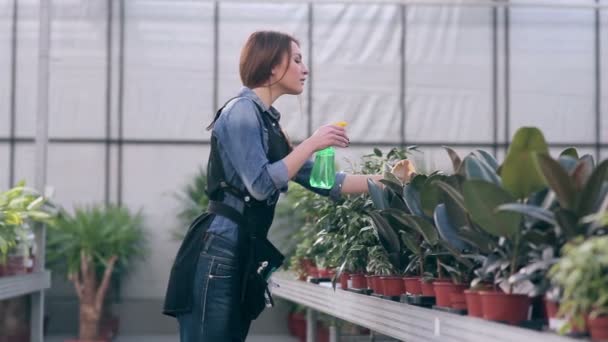 Florista feminino cuidar de flores — Vídeo de Stock