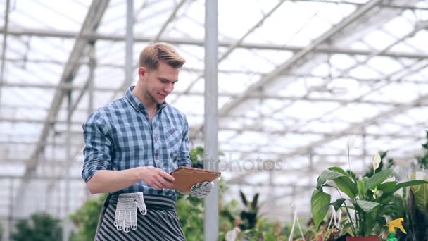 Florista com tablet digital em estufa . — Vídeo de Stock