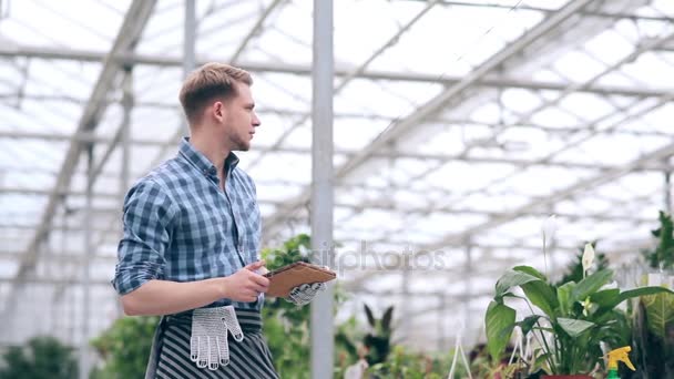 Florist med digital tablett i växthus. — Stockvideo