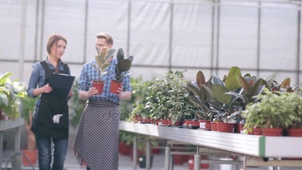 Manažer a květinářství mluví ve skleníku
