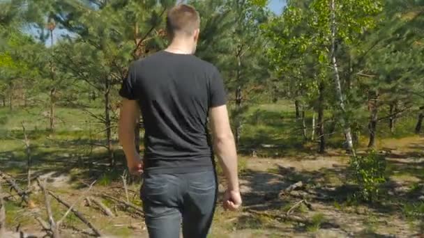 Man Black Shirt Walking Green Forest Sunny Day — Stock Video