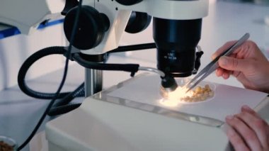 modern laboratuar mikroskobu ile çalışan beyaz üniformalı kadın Close-Up eller 