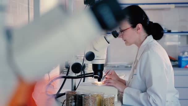 Mulher Morena Uniforme Branco Trabalhando Com Microscópio Laboratório Moderno — Vídeo de Stock