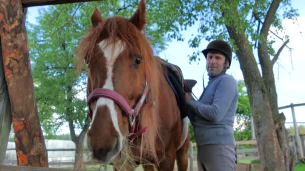 馬と黒いヘルメットの男 — ストック動画