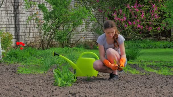 Mladá Dívka Velkou Zelenou Konev Pracují Zahradě Letní Době — Stock video