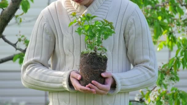 Jeune Homme Tenant Plante Verte Dans Jardin Printemps — Video