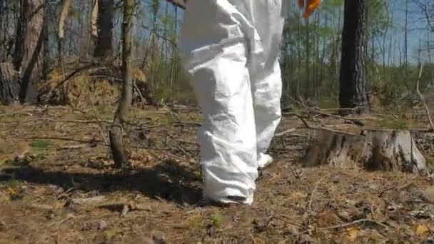 在阳光明媚的日子里 穿着白色制服和黄色手套的人走在森林里 — 图库视频影像