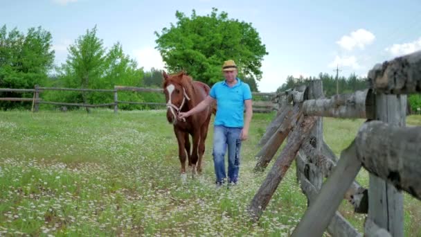 Mann mittleren Alters mit Pferd — Stockvideo
