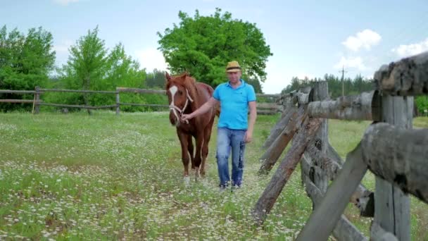 Midden oude mens met paard — Stockvideo