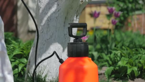 Young Man Uniform Working Green Garden Spring Time — Stock Video