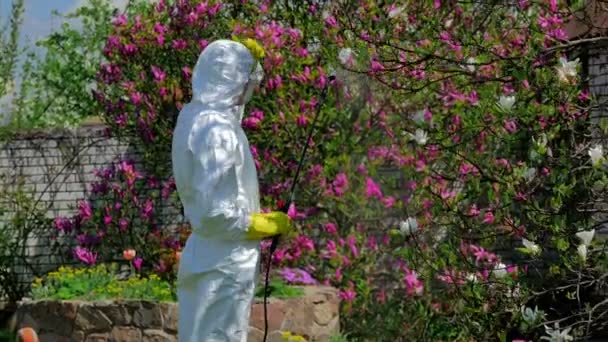 Young Man Uniform Working Green Garden Spring Time — Stock Video