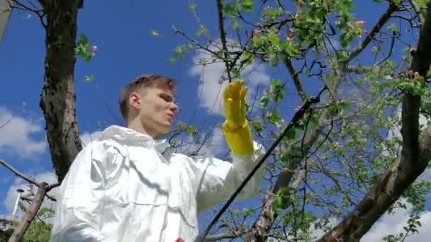 Ung Man Enhetliga Arbetar Trädgården Våren — Stockvideo