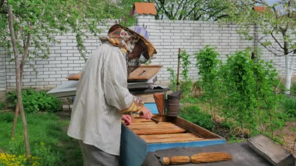 年轻养蜂手手持木制蜂窝框架与蜜蜂在绿色花园 — 图库视频影像