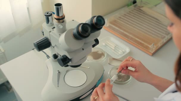 Γυναίκα Στην Λευκή Στολή Εργασίας Μικροσκόπιο Στο Σύγχρονο Εργαστήριο — Αρχείο Βίντεο