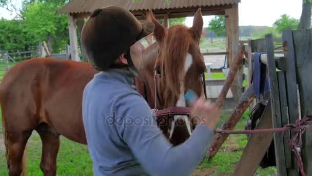 Hombre en casco negro con caballo — Vídeos de Stock