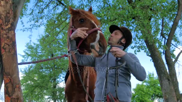 Man in zwarte helm met paard — Stockvideo