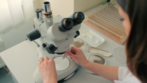 白制服妇女在现代实验室工作显微镜 — 图库视频影像