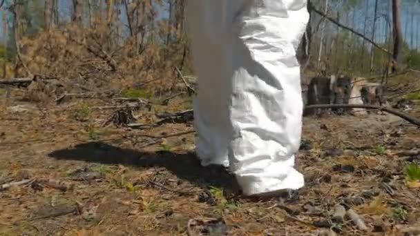 Uomo Uniforme Bianca Che Cammina Nella Foresta Nella Giornata Sole — Video Stock