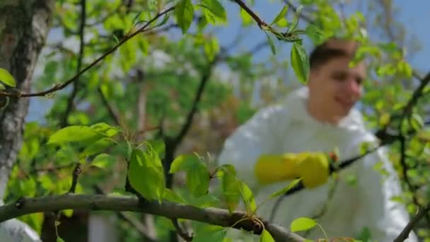 春時の緑豊かな庭園で均一使用で若い男 — ストック動画