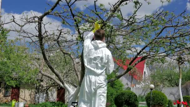 Giovane Uniforme Che Lavora Nel Giardino Verde Primavera — Video Stock