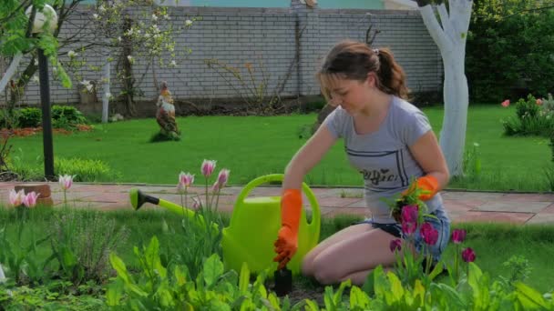 Giovane Ragazza Con Grande Irrigazione Verde Può Lavorare Giardino Estate — Video Stock