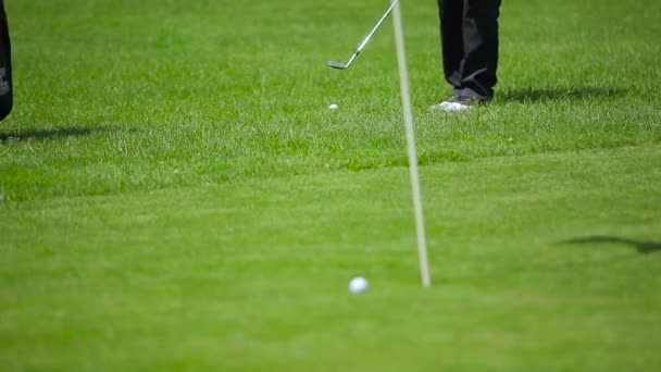 人腿特写 高尔夫球俱乐部夏天在绿草上打高尔夫球 — 图库视频影像