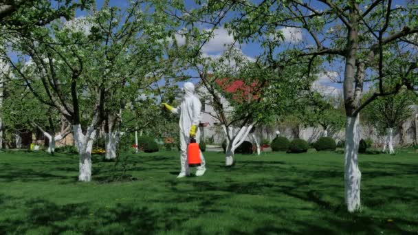 春時の緑豊かな庭園で均一使用で若い男 — ストック動画