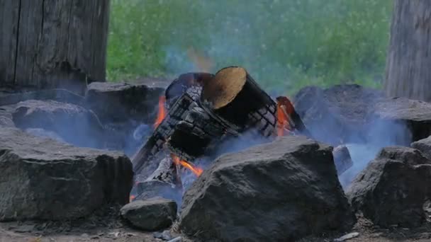 Närbild Lägereld Gröna Skogen Bakgrund — Stockvideo