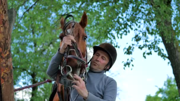 Человек в черном шлеме с лошадью — стоковое видео
