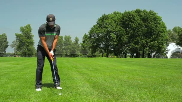 若い男は夏のゴルフ クラブでの緑の草の上ゴルフします — ストック動画