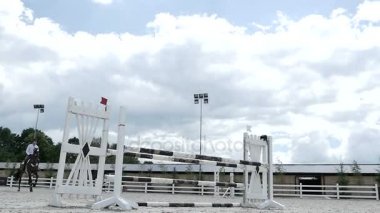 adam güzel kahverengi at binmek