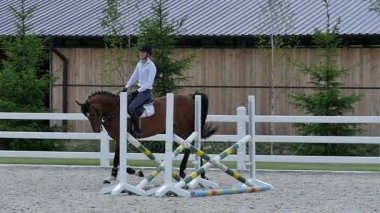 adam güzel kahverengi at binmek 