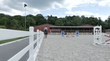 adam güzel kahverengi at binmek 