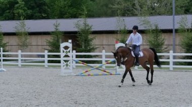 adam güzel kahverengi at binmek 