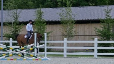 adam güzel kahverengi at binmek 