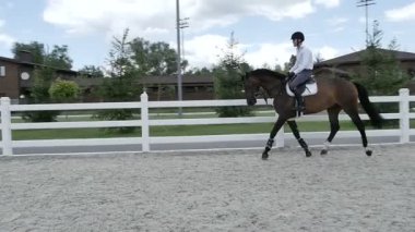 adam güzel kahverengi at binmek 