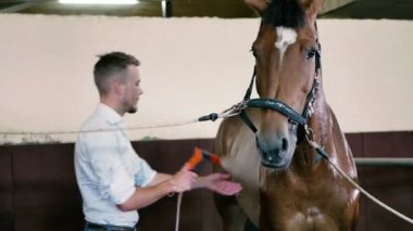 adam temiz su ile kahverengi at