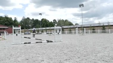 adam güzel kahverengi at binmek