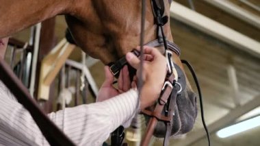 adam istikrarlı ata binmek hazırlanıyor