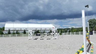 adam güzel kahverengi at binmek 